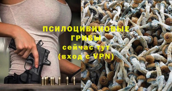 мет Армянск