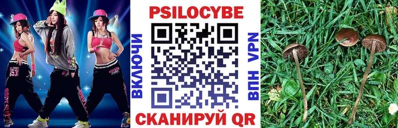 Галлюциногенные грибы прущие грибы  купить  сайты  Семёнов 